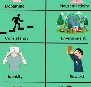 How Feedback Loops Shape Human Motivation And Long-Term Habits