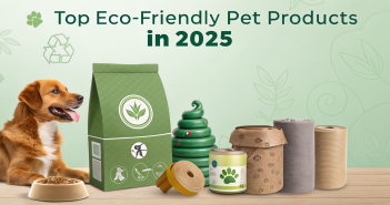 Top Eco-Friendly Pet Products in 2025